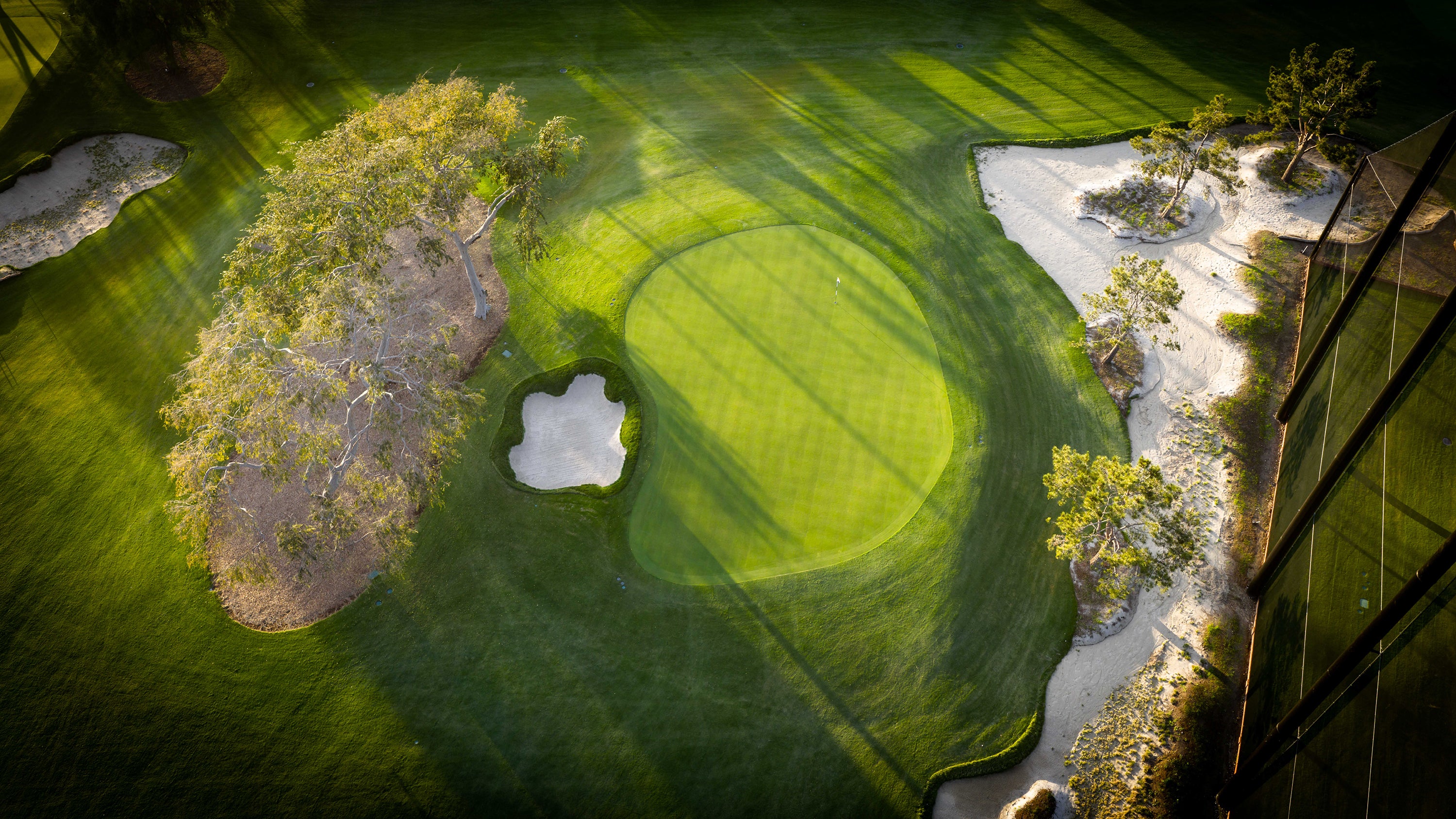 The Maggie Golf 