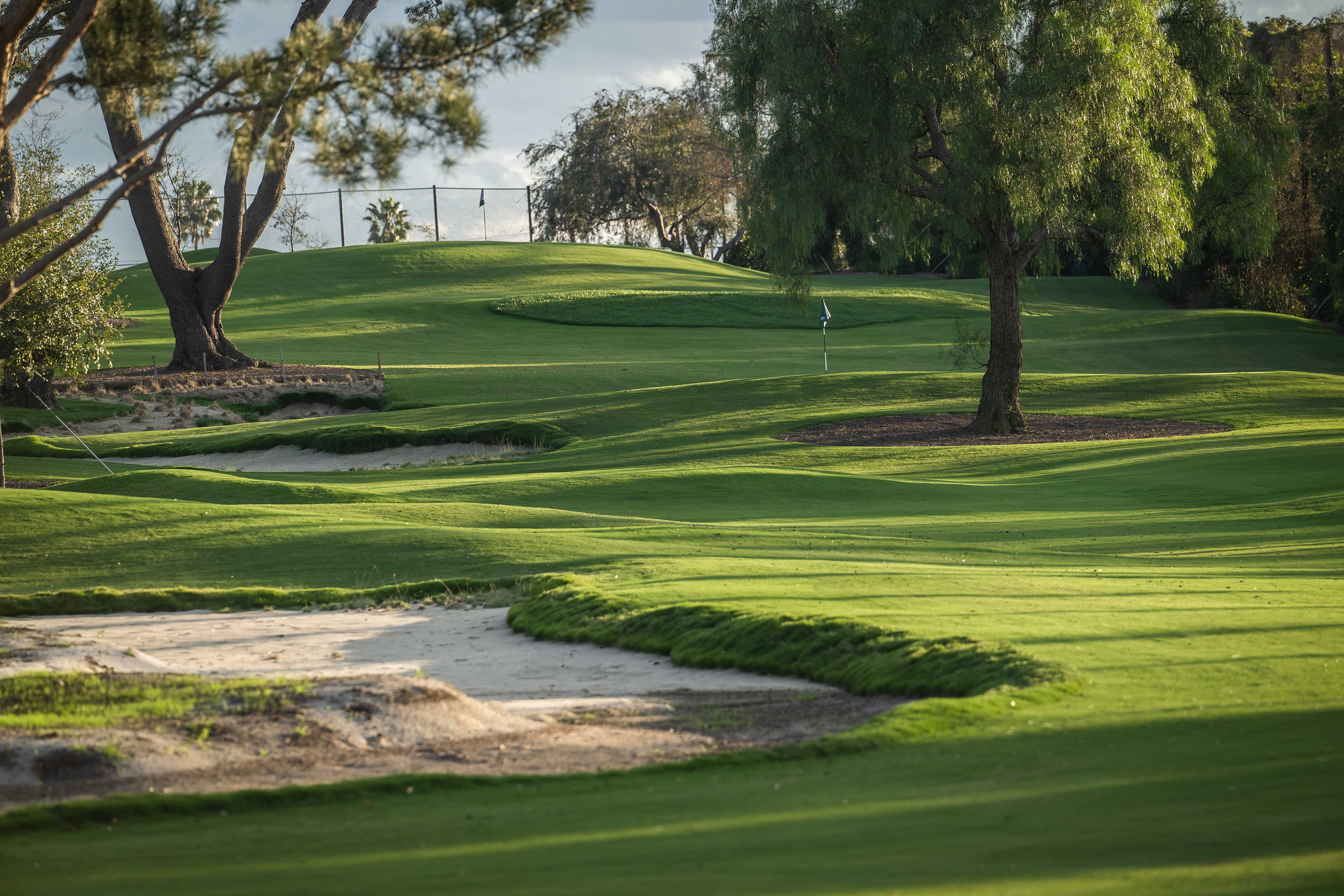 The Maggie Golf 